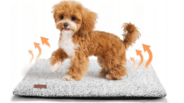 75111688b1b999071a5456fda943dc66.png Legowisko dia psa kota mata termiczna samogrzewcza antyposlizgowa 74x48cm