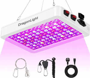 c6097eedee2ccdd7331cbe6cf782ea5c.png 0514bd4cb2e4b2fb129da7d544e1506c