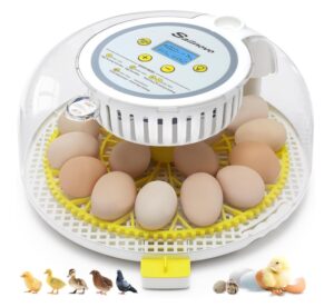 09551c8bc6fa4ac3ede09fce1d83eec8