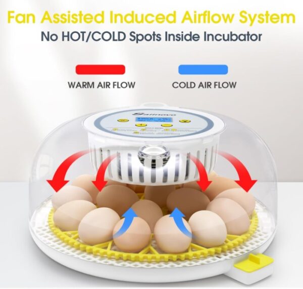 79a6adcbdfda2eb9d548b7704b656500.jpg d09db005eea539c701b74b5982f019d8