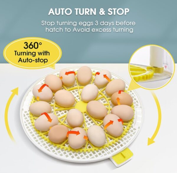 956bff6853d14705ab38c9ce0b242d2a.jpg 4f3c01a5ca8e60852406bcef48aa00df