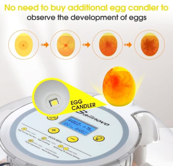 fe0d5e610eed97cbc05373470d8f2212.jpg 5f8a394cb5dcd465e98f7a735d25f104